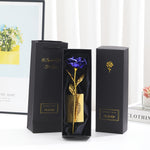 Blaue Blume Schwarze Box