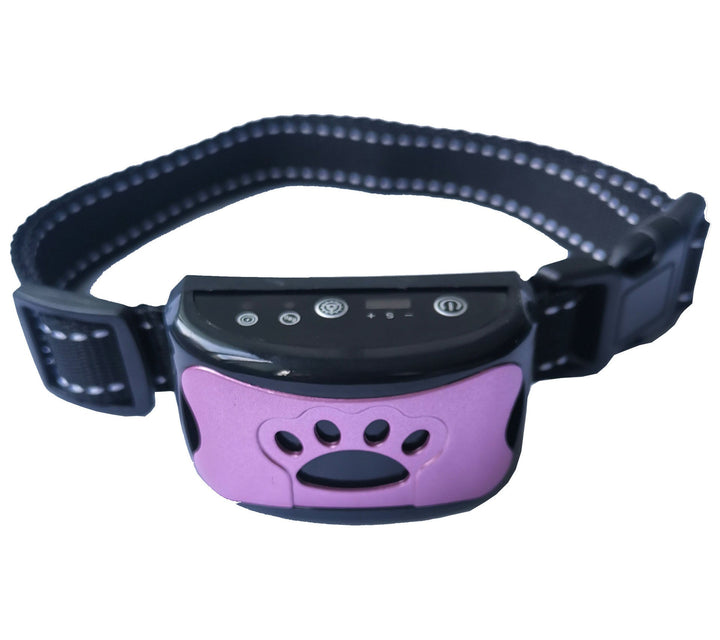 Besitzer trainiert Hund mit Anti-Bell Vibrationshalsband für ruhigeres Verhalten und Bellkontrolle.