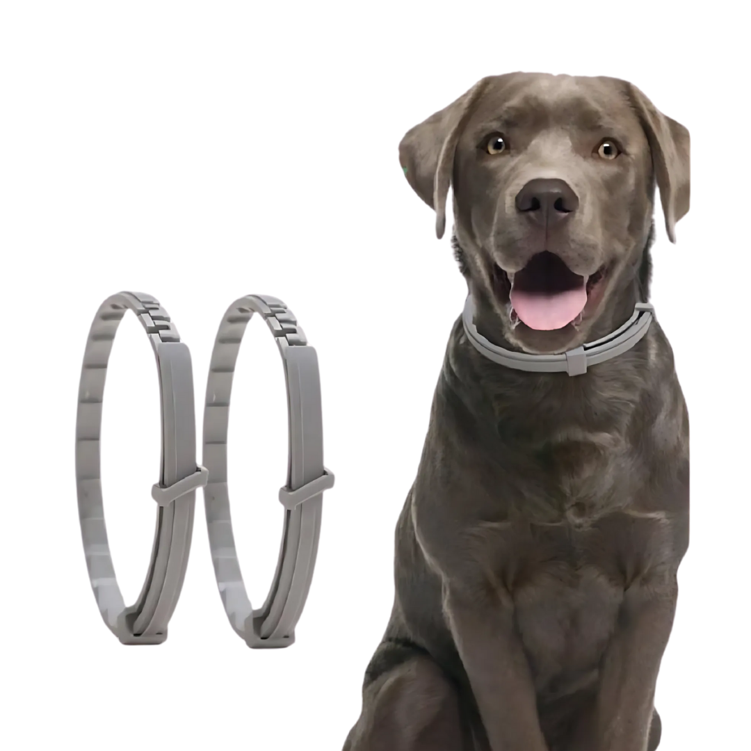 Pflanzliches Zeckenschutz-Halsband für Hunde & Katzen, wasserfest, bietet natürlichen Floh- & Parasitenschutz.