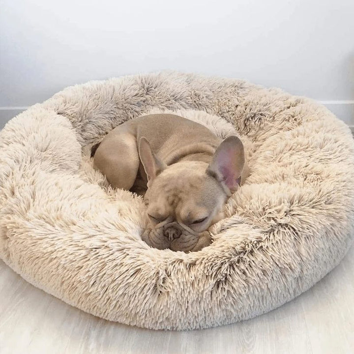 Weiches, rundes Haustierbett, Anti-Stress-Design, perfekt für Hunde und Katzen, die Geborgenheit suchen.