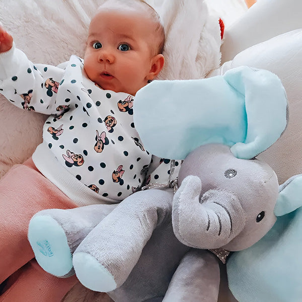 Elefant Ellie, der singende Plüschelefant in Aktion. Bereit zum Singen mit hochgestellten Wackelohren.