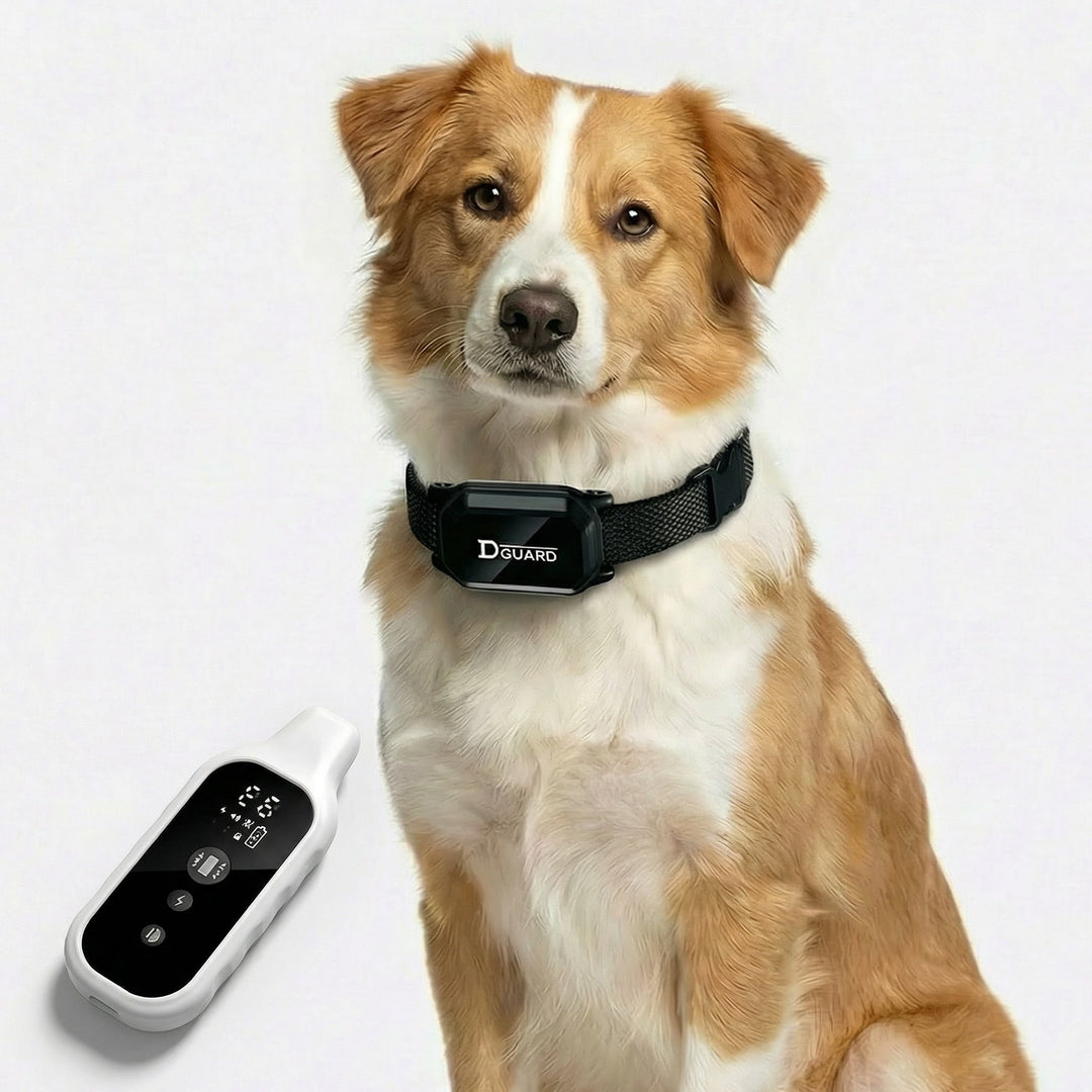 Hundehalsband mit Fernbedienung für effektives Hundetraining; Signal- & Vibrationsfunktion, wasserdichtes Nylon.