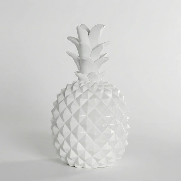 Originelle Ananas Spardose, perfektes Geschenk für Kinder & Erwachsene, ein buntes, tropisches Sparschwein.