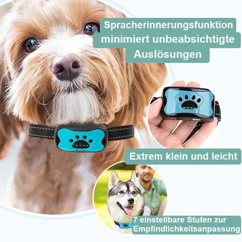 Bell-Trainingshalsband für Hunde: fördert ruhiges Verhalten und sorgt für Entspannung.