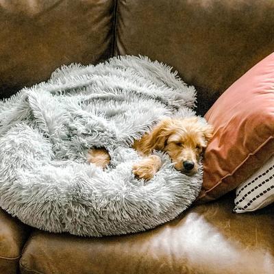 Großes Hundebett Wolke für große Hunde, flauschiges Komfortbett bietet viel Platz & Geborgenheit.