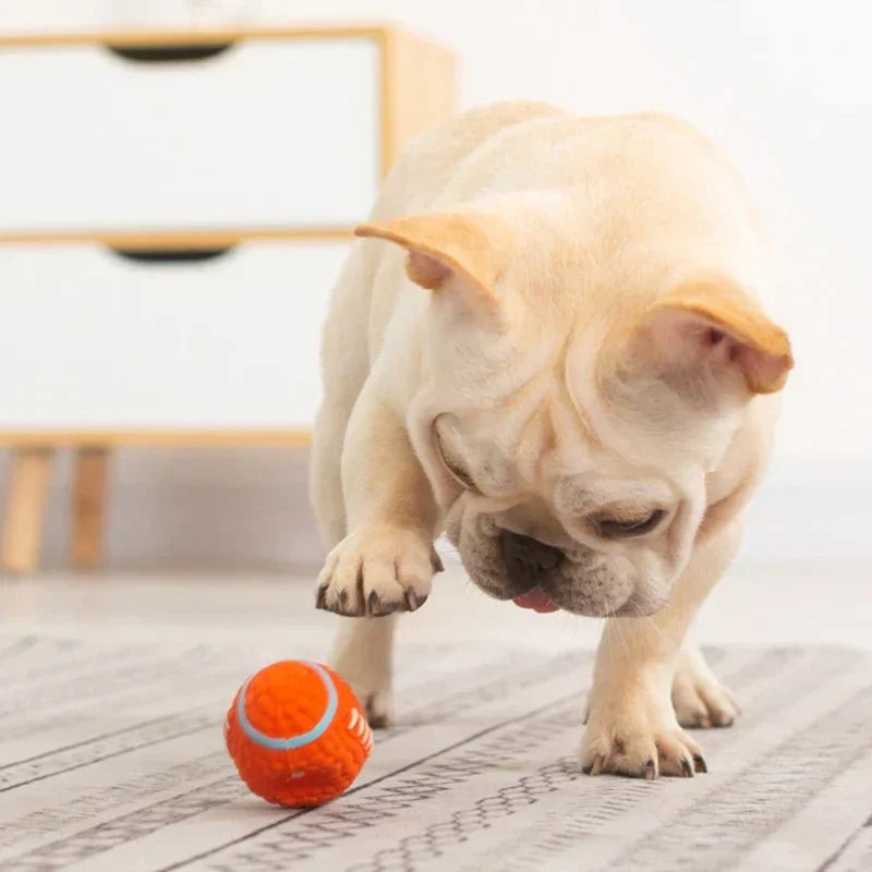 Detailansicht des KryptoChew Hundespielzeugs. Aus strapazierfähigem Material für intensive Kaubedürfnisse.