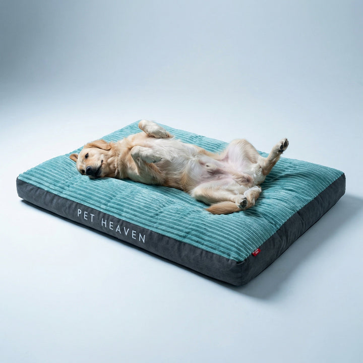 Orthopädisches Hundebett in Grün für Komfort & Erholung, ideal für Ihr Haustier.