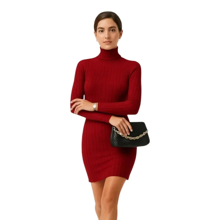Rotes Minikleid Damen, tailliert mit Rollkragen und langen Ärmeln. Stilvolles Freizeit- & Alltagskleid.