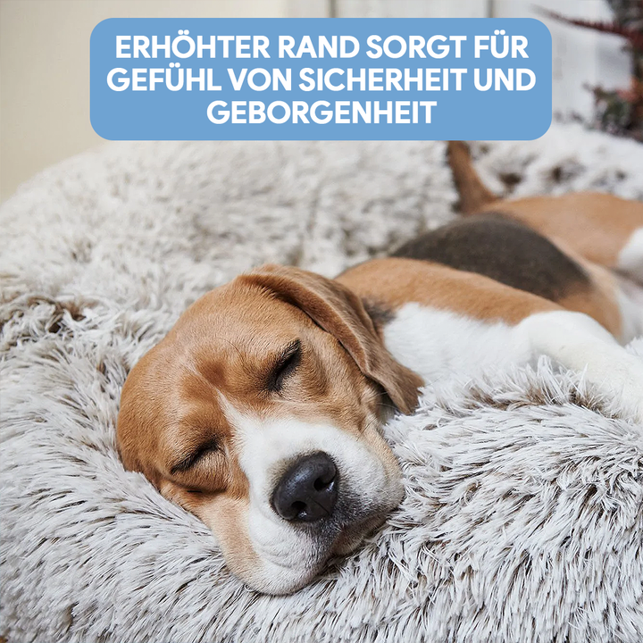 Kleines, gemütliches Hundebett Wolke für kleine Hunde, flauschig & sicher, der ideale Rückzugsort.
