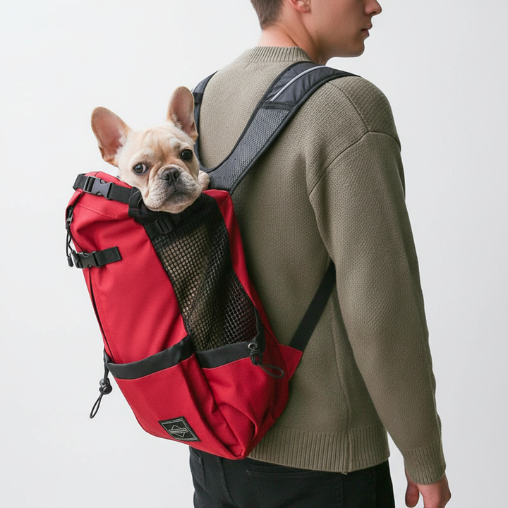 CompanionPack Hundetrage-Rucksack von allen Seiten, bereit für sicheren Haustiertransport & gemeinsame Abenteuer.