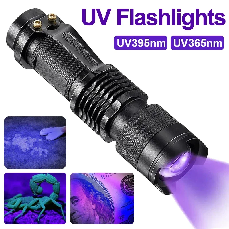 Ultraviolette LED-Taschenlampe zur Fleckenerkennung, ideal für Tierurin und Haushaltsreinigung.