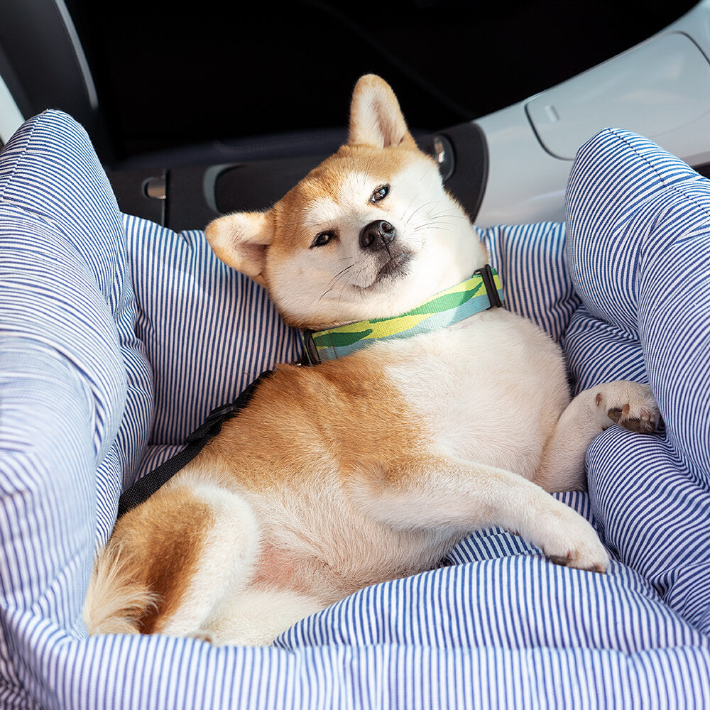 Robustes TravelPaw Autohundebett; bietet Halt und Gemütlichkeit für deinen Hund im Fahrzeug.