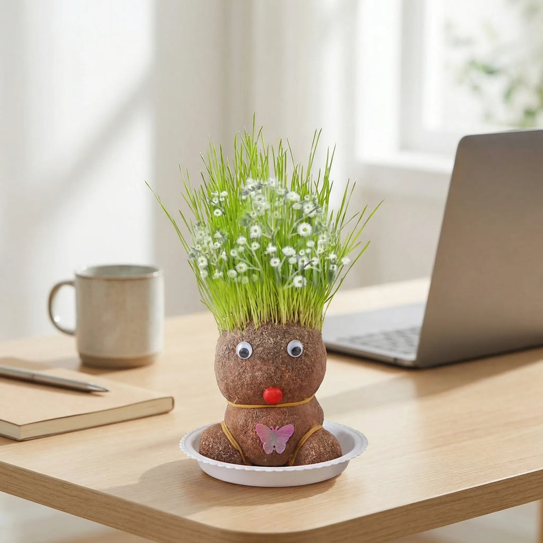 Lustige Pflanzfigur mit wachsen Grashaaren, ideal für kreative Heimdekoration und als einzigartige Geschenkidee.