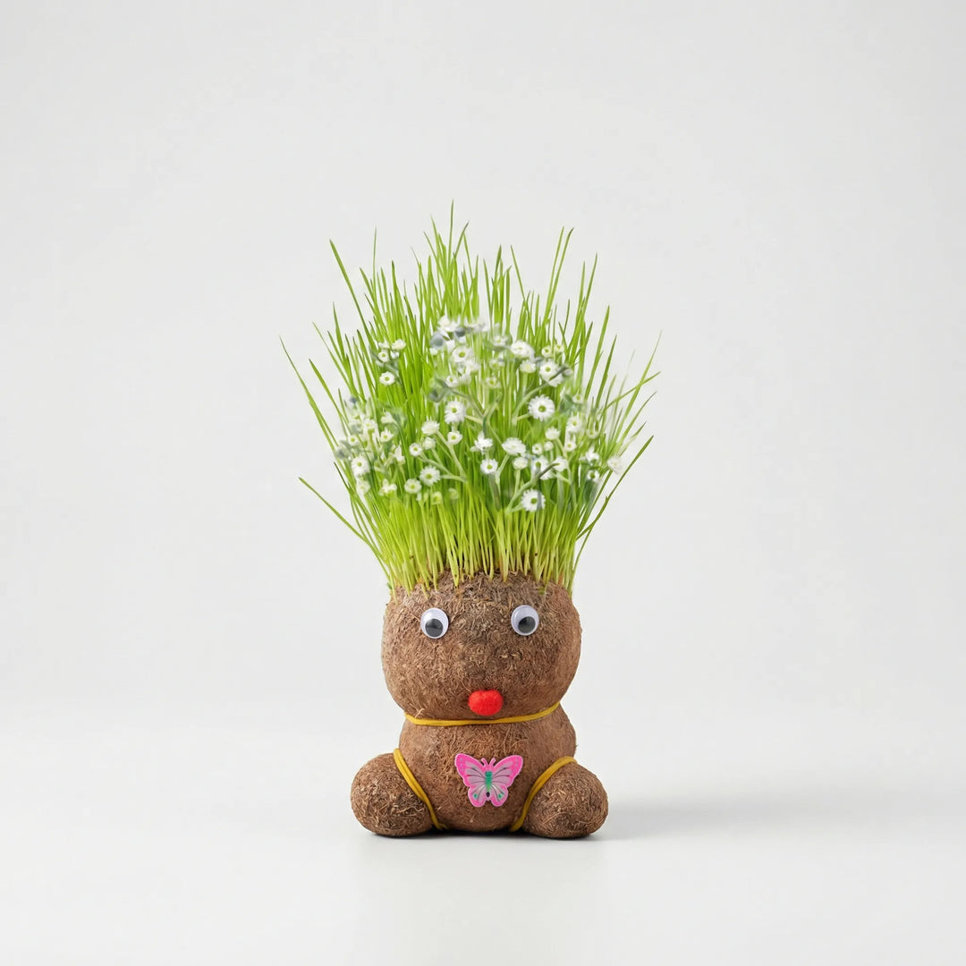 Kreative Pflanzfigur mit Grashaar-Kopf als charmante Schreibtischdeko oder Wohnaccessoire, bringt Natur ins Haus.
