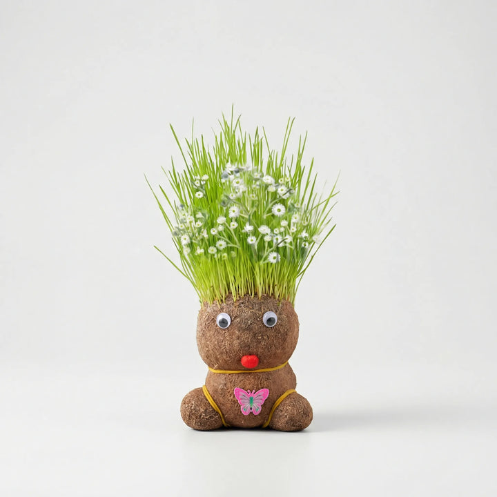 Kreative Pflanzfigur mit Grashaar-Kopf als charmante Schreibtischdeko oder Wohnaccessoire, bringt Natur ins Haus.