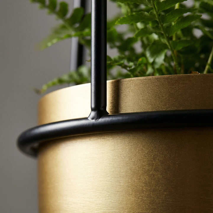 Hängender Pflanzentopf für Zimmerpflanzen. Elegante Blumendekoration & modernes Wohnaccessoire.