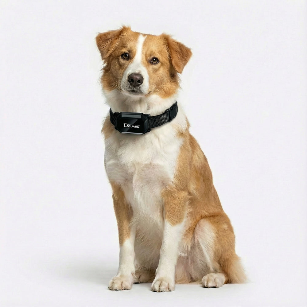Wasserdichtes Hundehalsband mit Fernbedienung für Gehorsamstraining; Vibration & Signal zur Hundeerziehung.