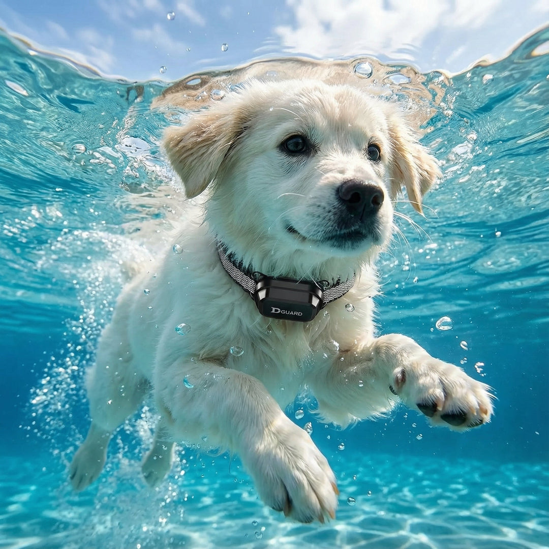 Wiederaufladbares Hundehalsband mit Fernbedienung; verstellbares Nylon, Signal- & Vibrationsfunktion.