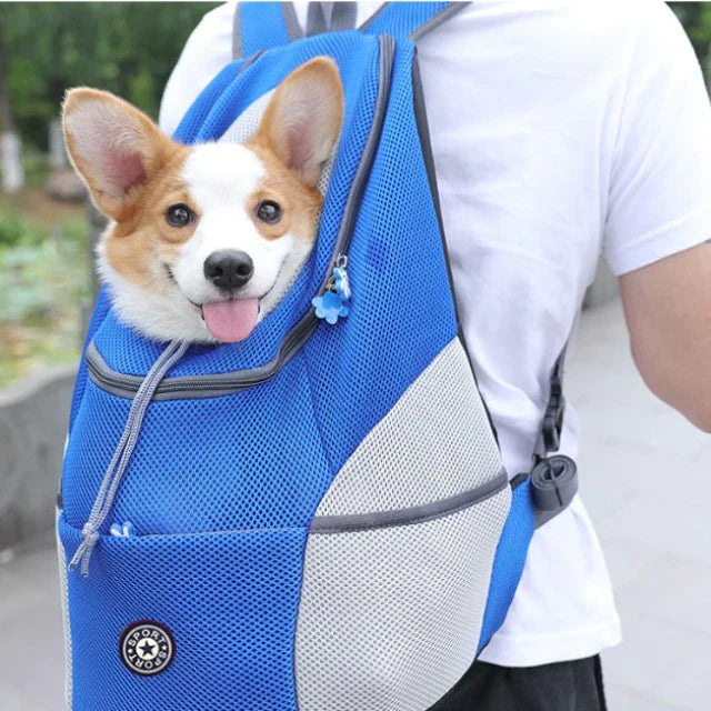 Sicherer Katzenrucksack & Hunderucksack für kleine Rassen, atmungsaktiv für Komfort auf jeder Reise.
