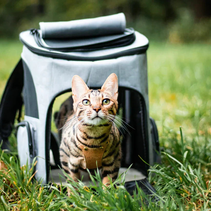 Grauer Katzenrucksack PurrPack™: Stylish & funktional für komfortablen Haustiertransport.