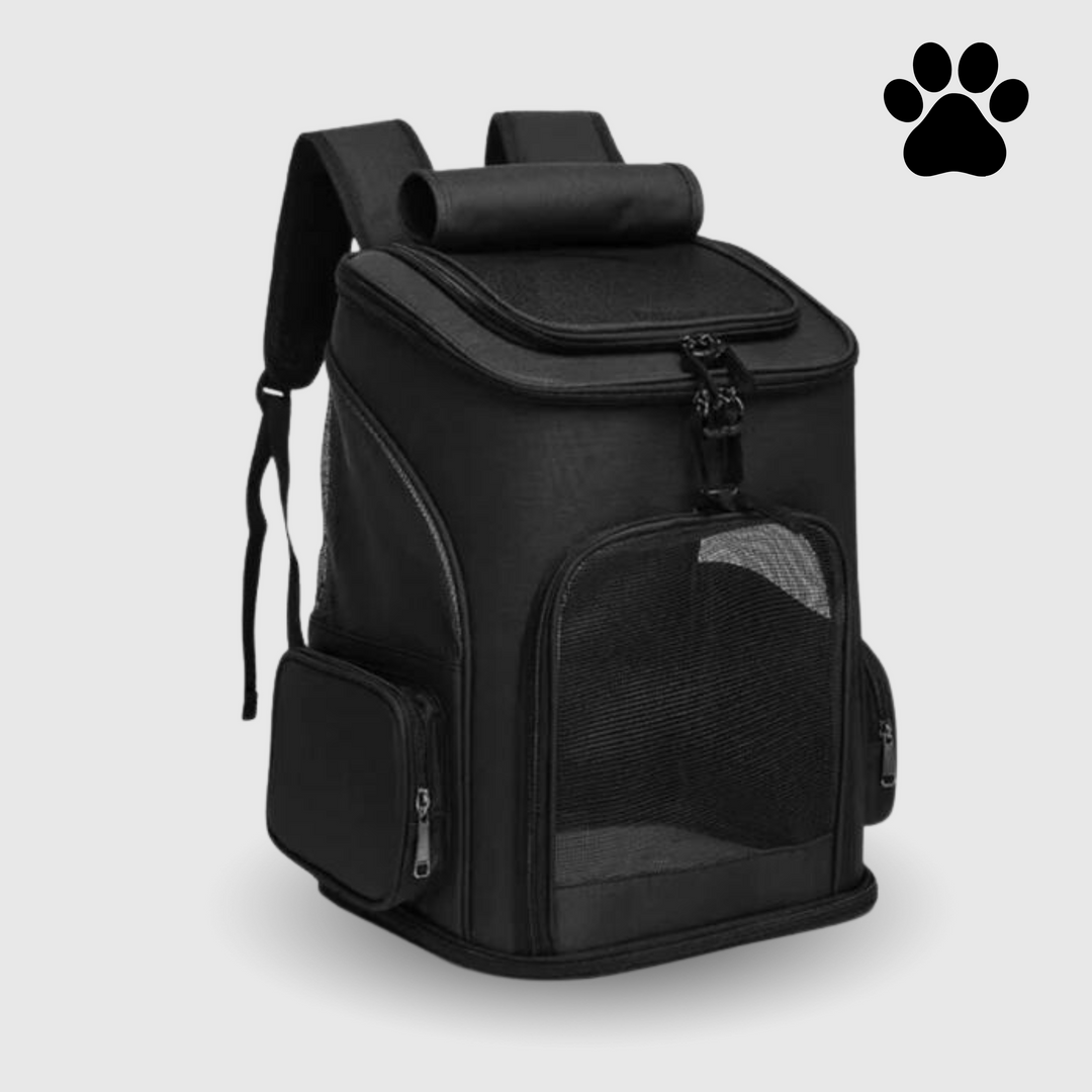 Sicherer Transportrucksack für Katzen, atmungsaktiv & robust; ideal für unterwegs.