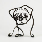 Englische Bulldogge