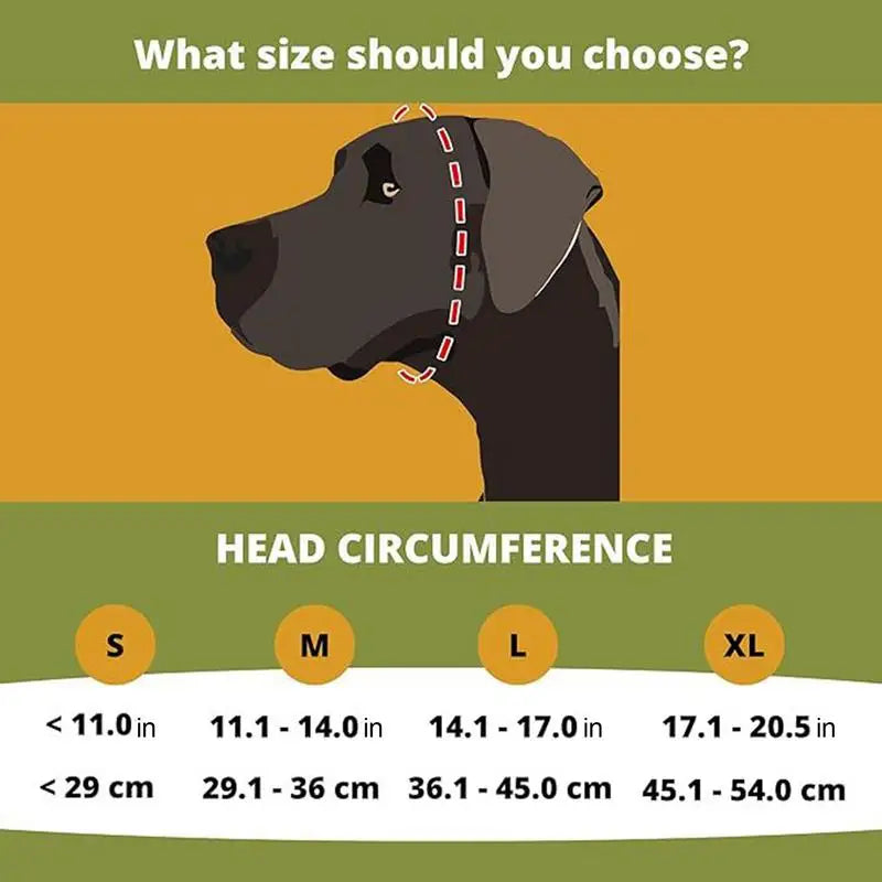 Ein entspannter Hund trägt geräuschisolierende Ohrwärmer, die Schutz bei Feuerwerk & lauten Geräuschen bieten.