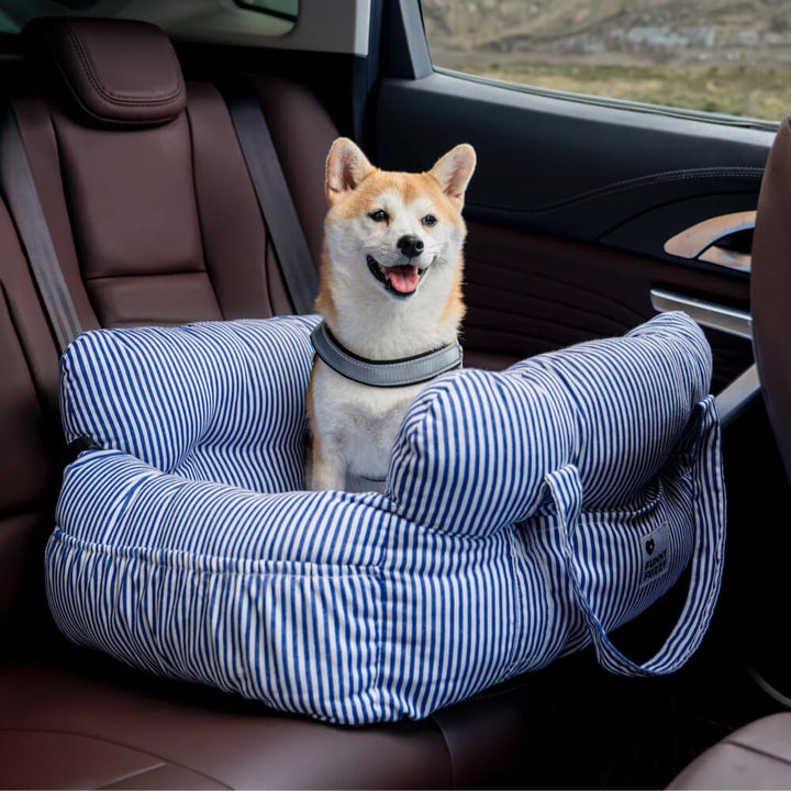 Hunde-Reisekorb: Bequemer Reisekorb für Hunde, ideal für lange Autofahrten, mit rutschfester Unterseite.