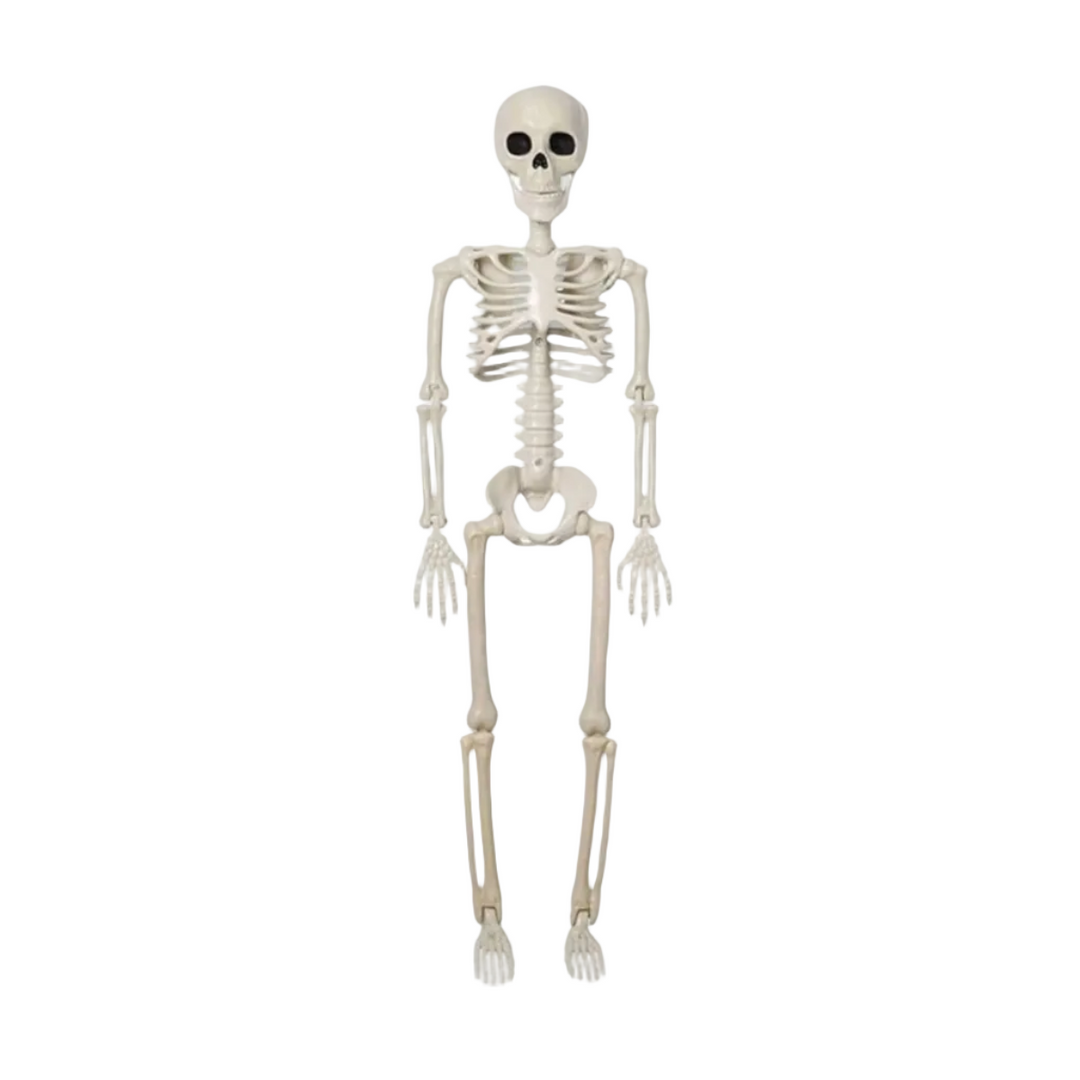 Animiertes Halloween Skelett aus Kunststoff, gruselige Dekoration für Innen & Außenbereich.
