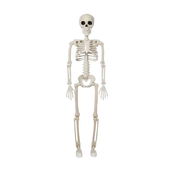 Animiertes Halloween Skelett aus Kunststoff, gruselige Dekoration für Innen & Außenbereich.
