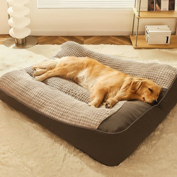 Orthopädisches Hundebett, kratzfest, mit erhöhtem Rand für optimalen Komfort und Stabilität des Hundes.