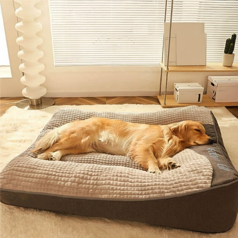 Kratzfestes Hundebett für große Rassen, mit Gelenkschutz und erhöhtem Rand. Ideal für ältere Hunde.