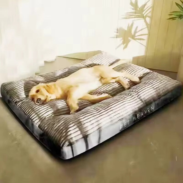 Orthopädisches Tierbett in Grün, waschbar & komfortabel, ein Ort der Erholung für Haustiere.