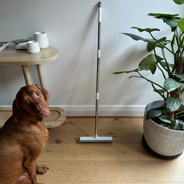 Universeller Teleskopbesen für Tierhaare; ideal zur effizienten Reinigung von Böden im Haushalt mit Haustieren.