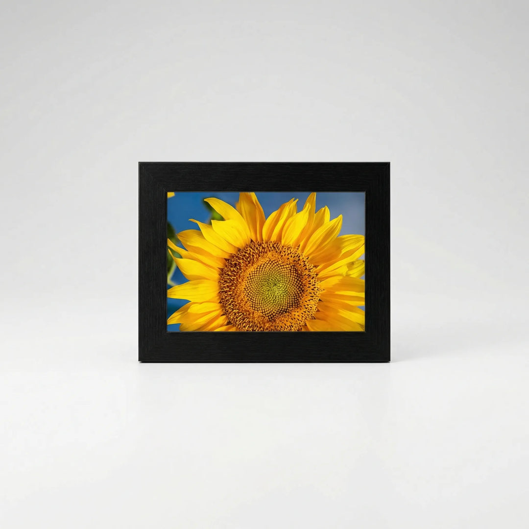 Schlichtes, modernes Bilderrahmen-Set (11-teilig) in Schwarz-Weiss für individuelle Fotocollagen und Galeriewände.