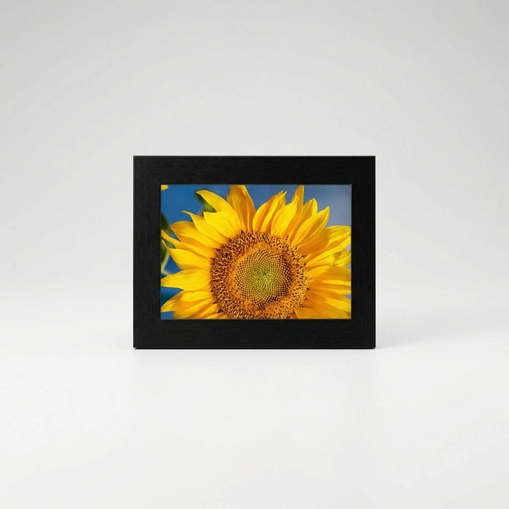 Schlichtes, modernes Bilderrahmen-Set (11-teilig) in Schwarz-Weiss für individuelle Fotocollagen und Galeriewände.