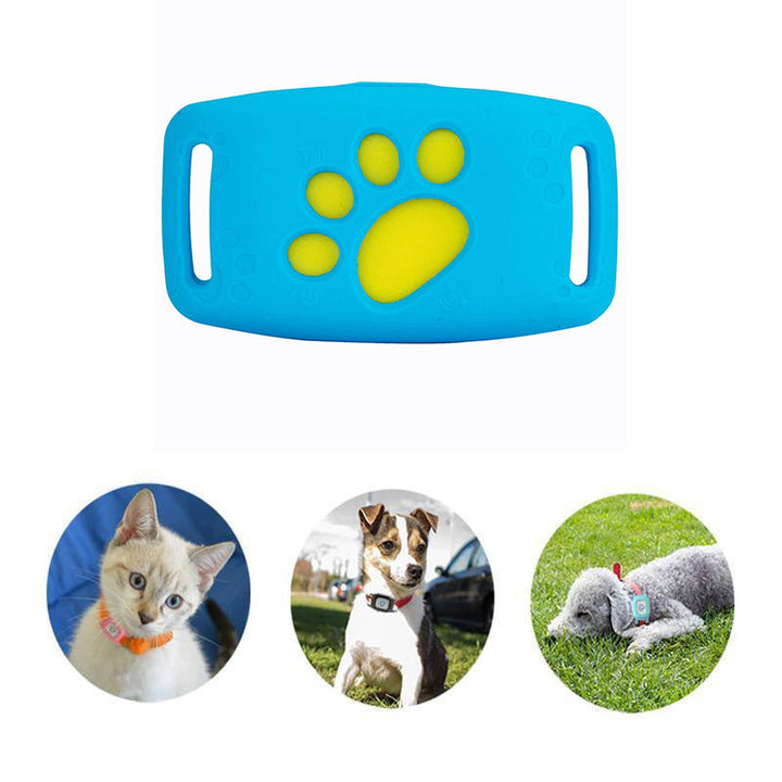 Kleiner Hund mit smartem GPS-Tracker-Halsband, PawTrack, wasserdicht für Tierortung und Sicherheit.