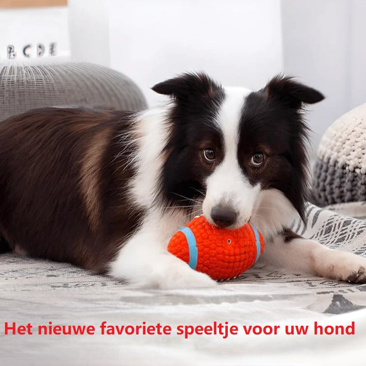 Hundebesitzer spielt mit dem robusten KryptoChew Ball. Fördert Apportieren, Bewegung und Bindung.