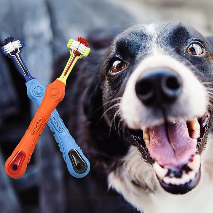 Dreiseitige Haustierzahnbürste für Hunde & Katzen, effektive Zahnreinigung & Zahnfleischpflege.