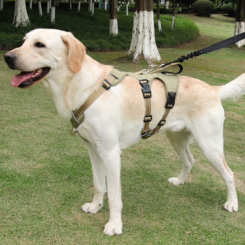 Reflektierendes Anti-Zieh-Hundegeschirr GripGuard aus Nylon für sichere Spaziergänge am Tag und in der Nacht.