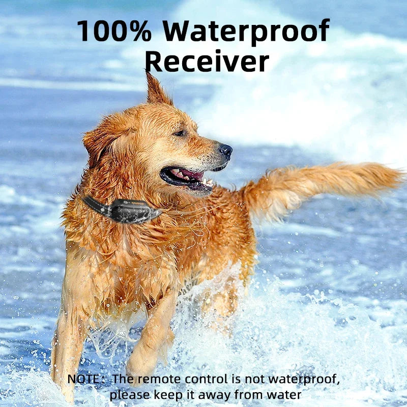 Robustes Hunde Erziehungshalsband für Outdoor-Training. Wasserdicht und wiederaufladbar für zuverlässige Kontrolle.