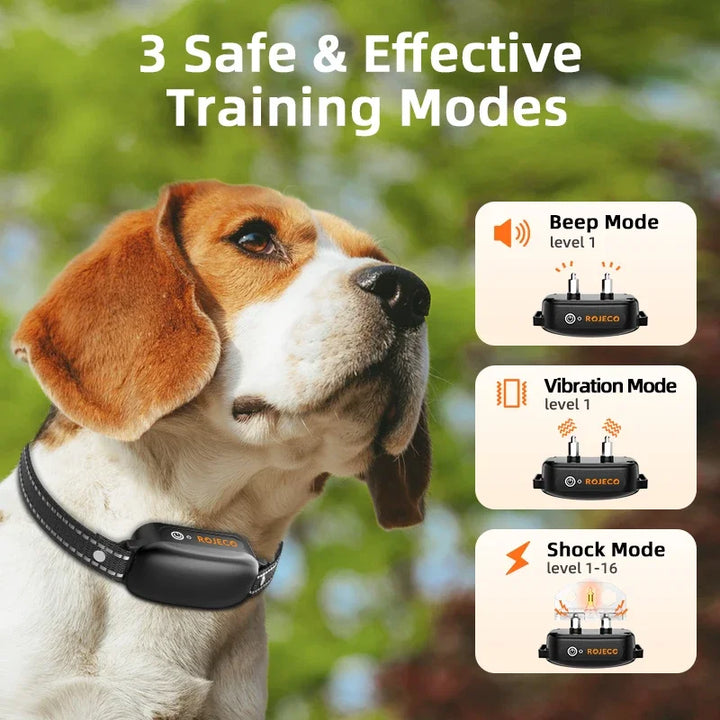 Ferntrainer Hund Set: Elektrisches Trainingshalsband & Handsender für professionelles Hunde Accessoire.