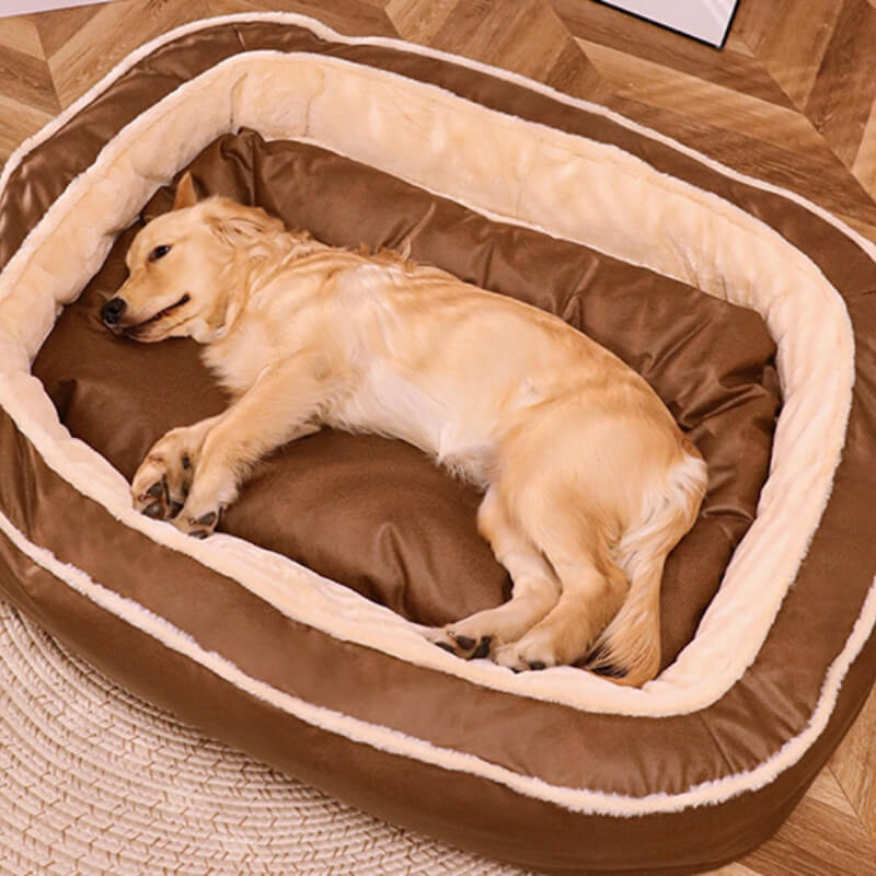 Hochwertiges Hundebett mit waschbarem Bezug für maximale Hygiene und Komfort. Ideal für erholsamen Hundeschlaf.