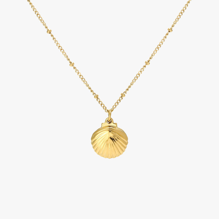Verstellbare Damenkette mit Muschel-Anhänger & natürlicher Süßwasserperle, wahlweise Gold oder Silber.
