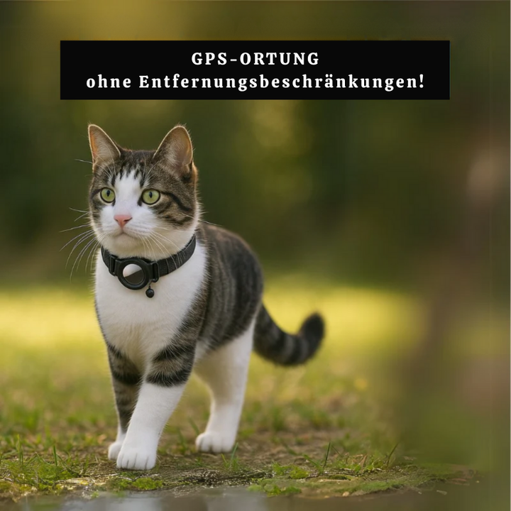 Detailansicht: Robustes, verstellbares GPS Haustierhalsband mit integriertem Tracker für Hunde & Katzen.