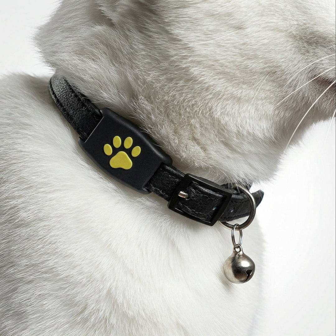 GPS-Tracker für Hunde & Katzen zur Echtzeit-Ortung, kompakt und leicht.