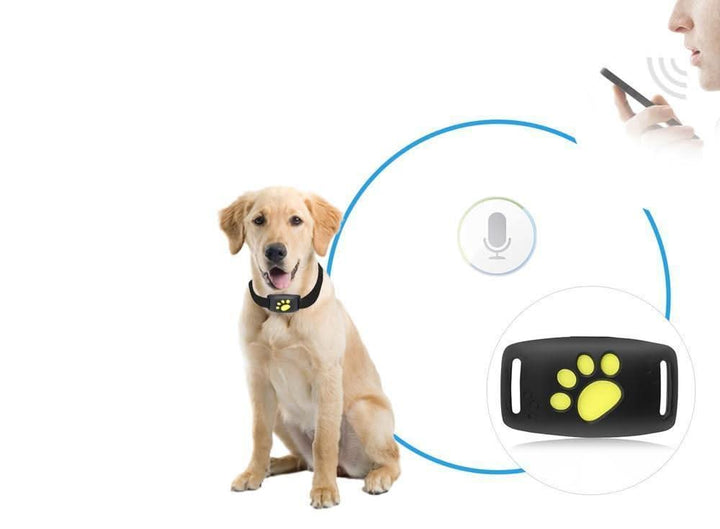 Leichter GPS-Tracker für Katzen, präzise Ortung über App, ideal für Freigänger.