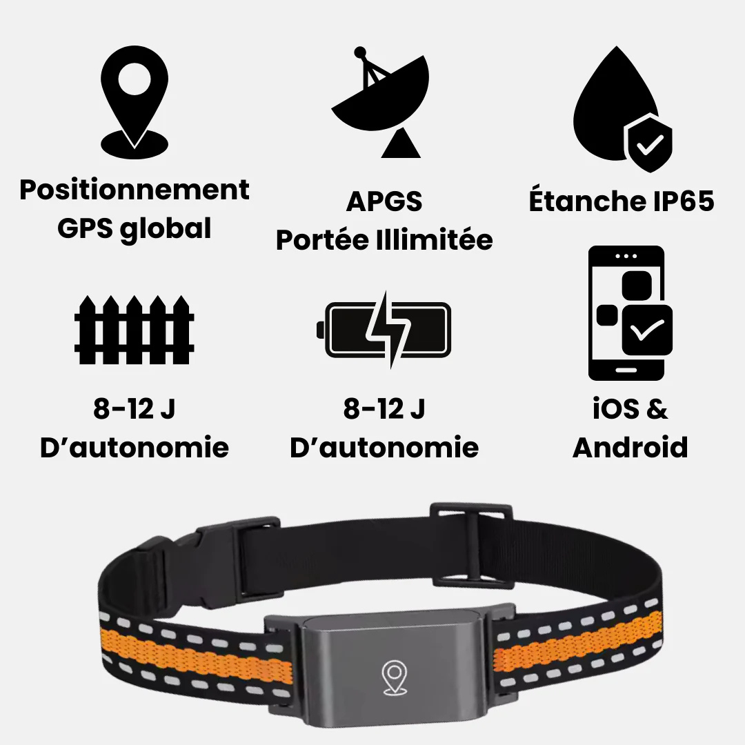 Wasserdichter GPS Tracker für Hunde & Katzen. Echtzeit-Ortung per App für maximale Haustiersicherheit.