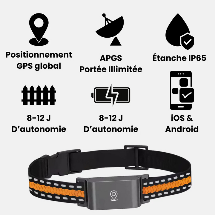 Wasserdichter GPS Tracker für Hunde & Katzen. Echtzeit-Ortung per App für maximale Haustiersicherheit.