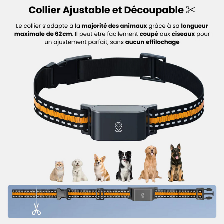 Kompakter GPS Tracker für Hunde & Katzen. Einfache Echtzeit-Ortung über intuitive App. Schutz vor Verlaufen.
